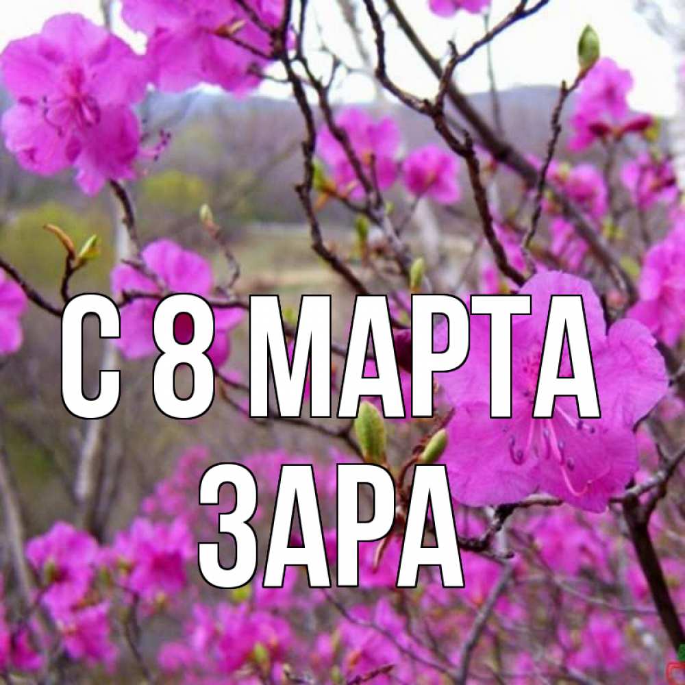 Открытка на каждый день с именем, Зара С 8 марта международный женский день Прикольная открытка с пожеланием онлайн скачать бесплатно 