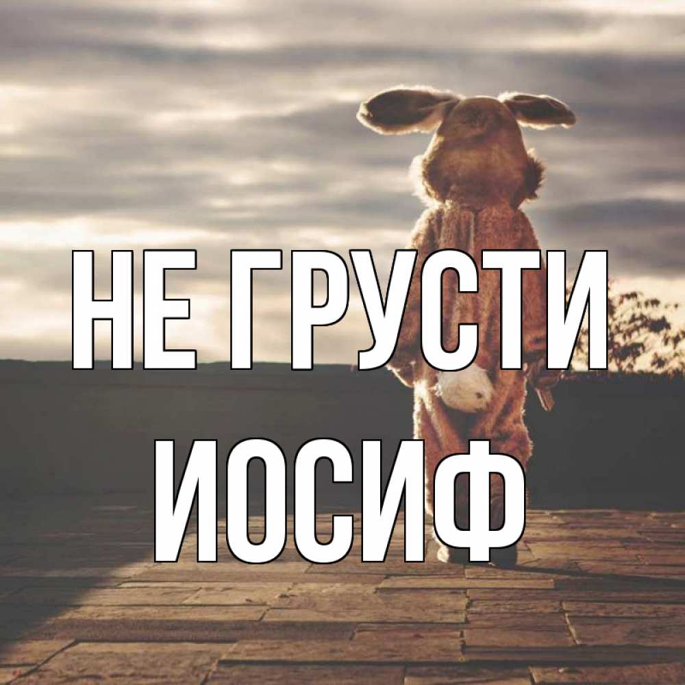 Открытка на каждый день с именем, Иосиф Не грусти со спины Прикольная открытка с пожеланием онлайн скачать бесплатно 