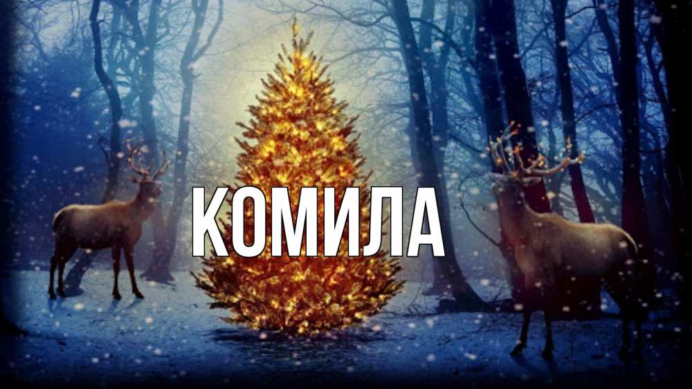 Открытка на каждый день с именем, Комила Главная олени, новогодняя елка Прикольная открытка с пожеланием онлайн скачать бесплатно 