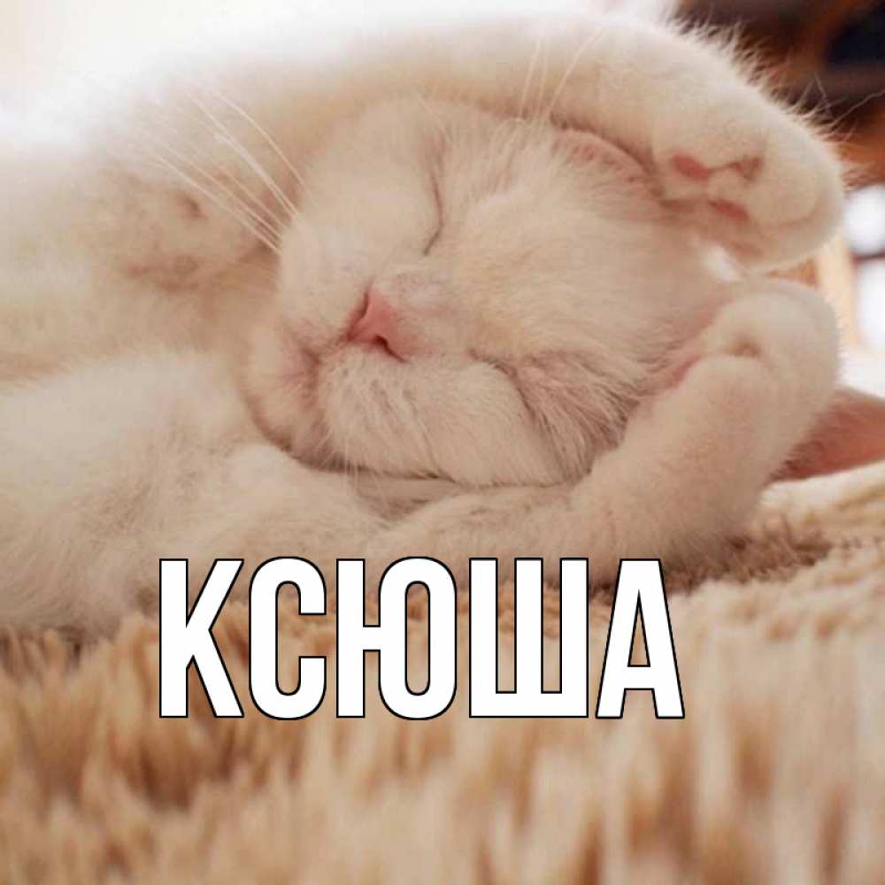Открытка на каждый день с именем, Ксюша Главная для любимой девушки милота Прикольная открытка с пожеланием онлайн скачать бесплатно 