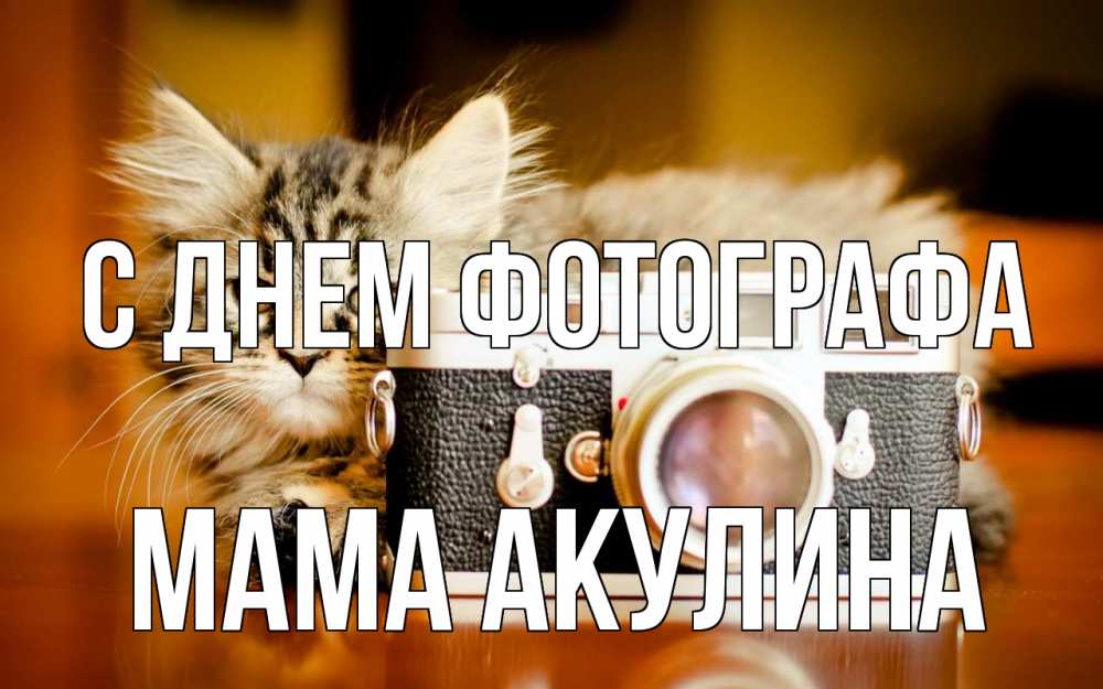 Открытка на каждый день с именем, Мама-Акулина С днем фотографа с днем фотографа Прикольная открытка с пожеланием онлайн скачать бесплатно 
