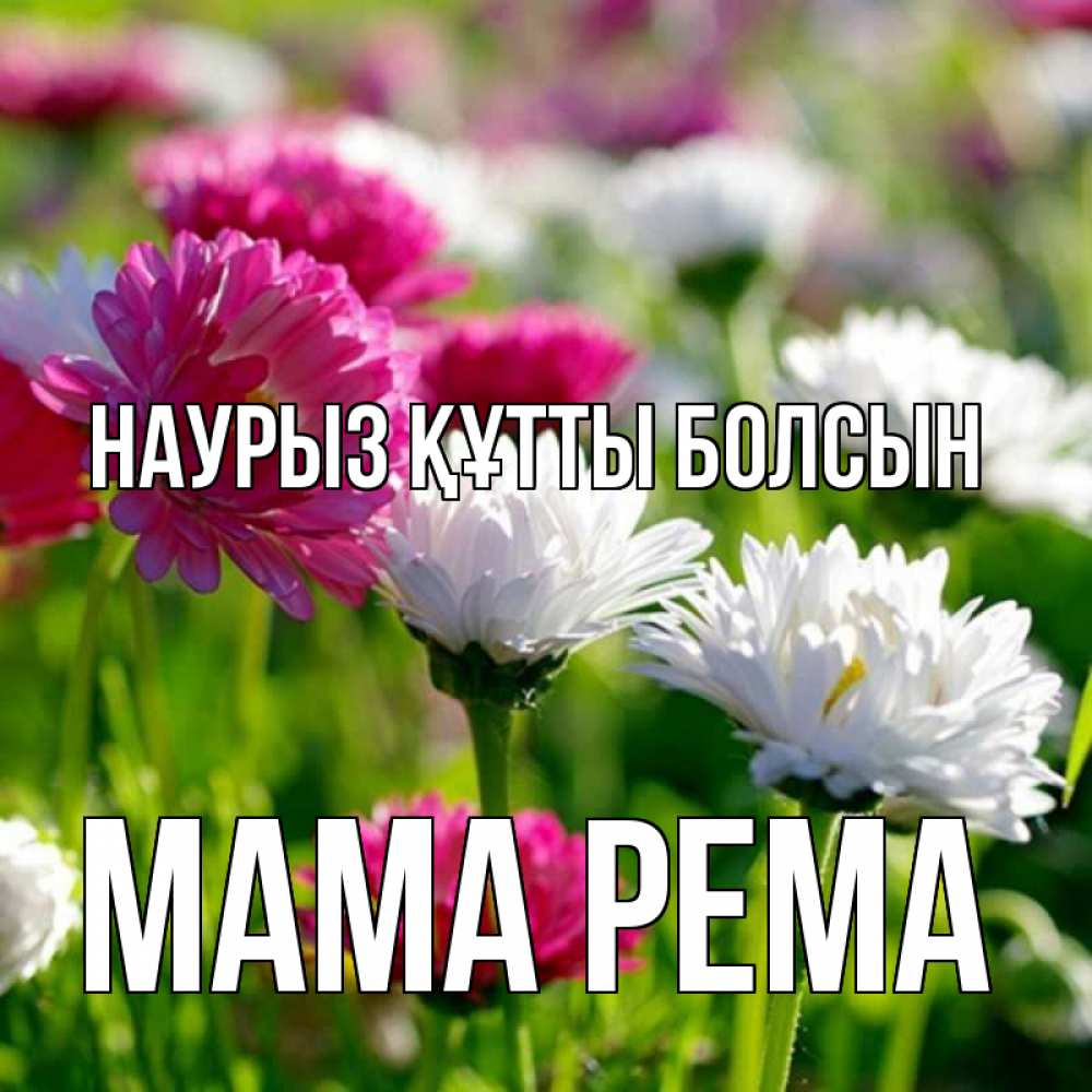 Открытка на каждый день с именем, Мама-Рема Наурыз құтты болсын наурыз Прикольная открытка с пожеланием онлайн скачать бесплатно 