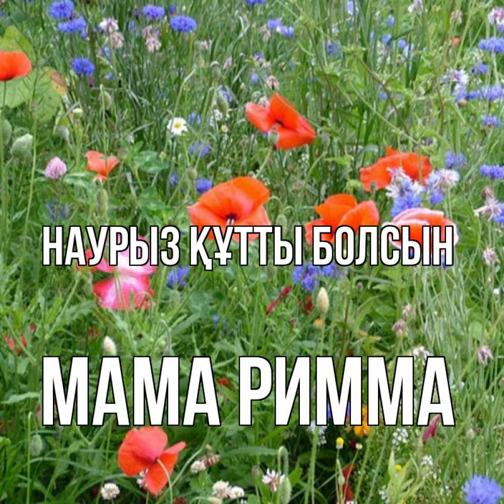 Открытка на каждый день с именем, Мама-Римма Наурыз құтты болсын наурыз  4 Прикольная открытка с пожеланием онлайн скачать бесплатно 