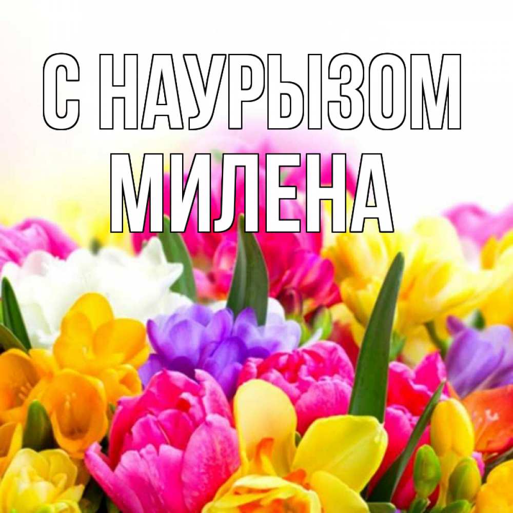 Открытка на каждый день с именем, Милена С наурызом тюльпаны Прикольная открытка с пожеланием онлайн скачать бесплатно 