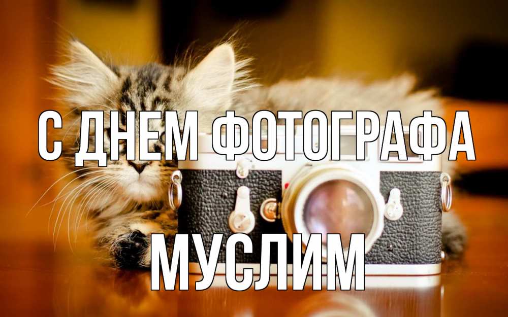 Открытка на каждый день с именем, Муслим С днем фотографа с днем фотографа Прикольная открытка с пожеланием онлайн скачать бесплатно 