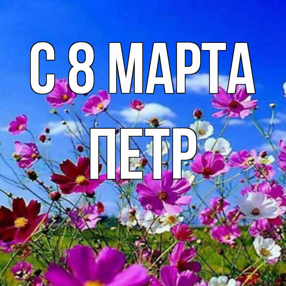Открытка на каждый день с именем, Петр С 8 МАРТА цветы Прикольная открытка с пожеланием онлайн скачать бесплатно 