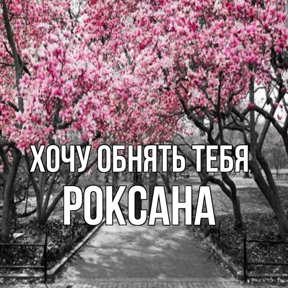 Открытка на каждый день с именем, Роксана Хочу обнять тебя обработанное фото Прикольная открытка с пожеланием онлайн скачать бесплатно 