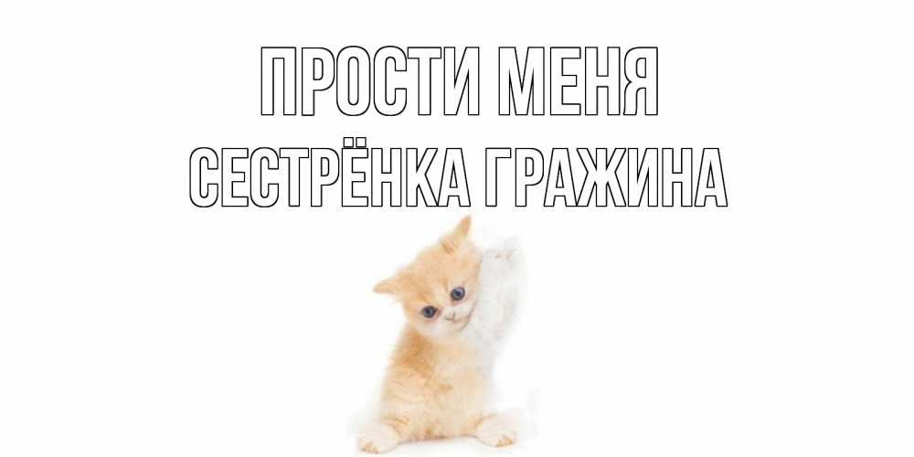 Открытка на каждый день с именем, Сестрёнка-Гражина Прости меня кот Прикольная открытка с пожеланием онлайн скачать бесплатно 