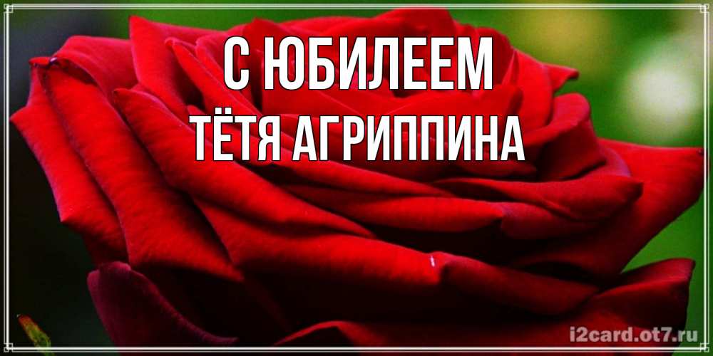 Открытка на каждый день с именем, Тётя-Агриппина С юбилеем розочка очень красивая Прикольная открытка с пожеланием онлайн скачать бесплатно 