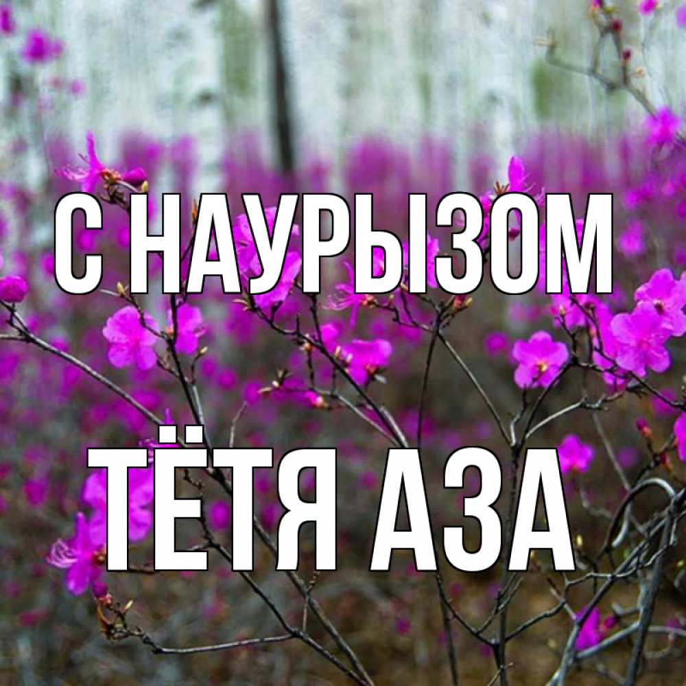 Открытка на каждый день с именем, Тётя-Аза С наурызом дикие цветы Прикольная открытка с пожеланием онлайн скачать бесплатно 