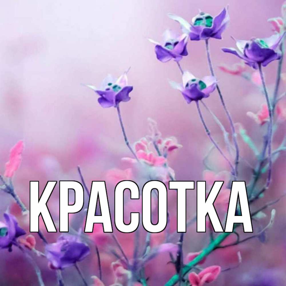 Открытка на каждый день с именем, красотка Главная наурыз  2 Прикольная открытка с пожеланием онлайн скачать бесплатно 