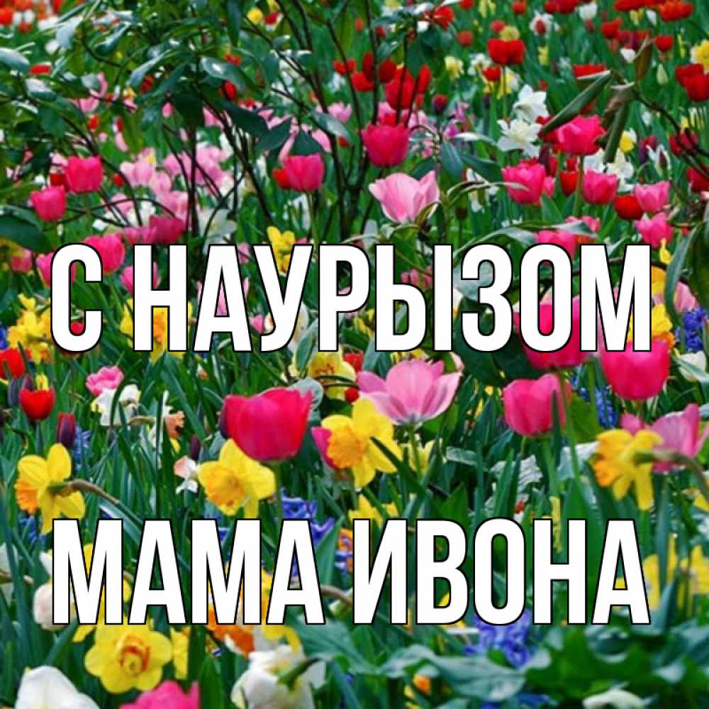 Открытка на каждый день с именем, Мама-Ивона С наурызом с наурызом праздником весны поздравления для женщины Прикольная открытка с пожеланием онлайн скачать бесплатно 