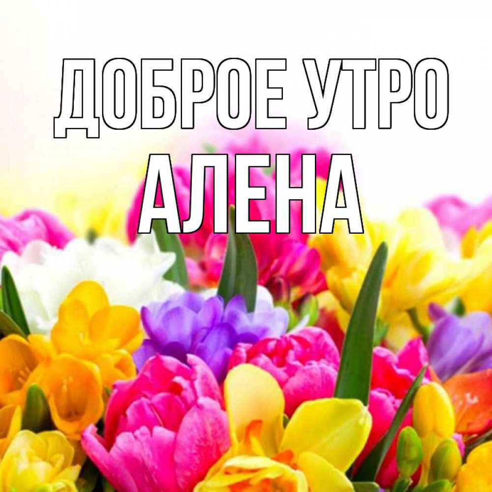 картинки алена доброе утро онлайн картинки алена доброе утро