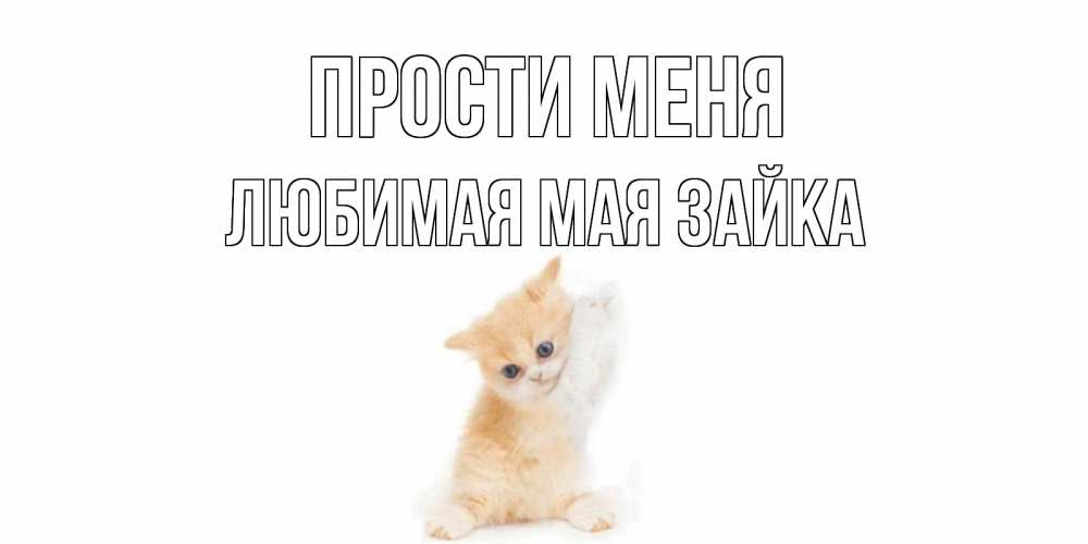 Открытки зайка прости, вышивки открытку поздравительные