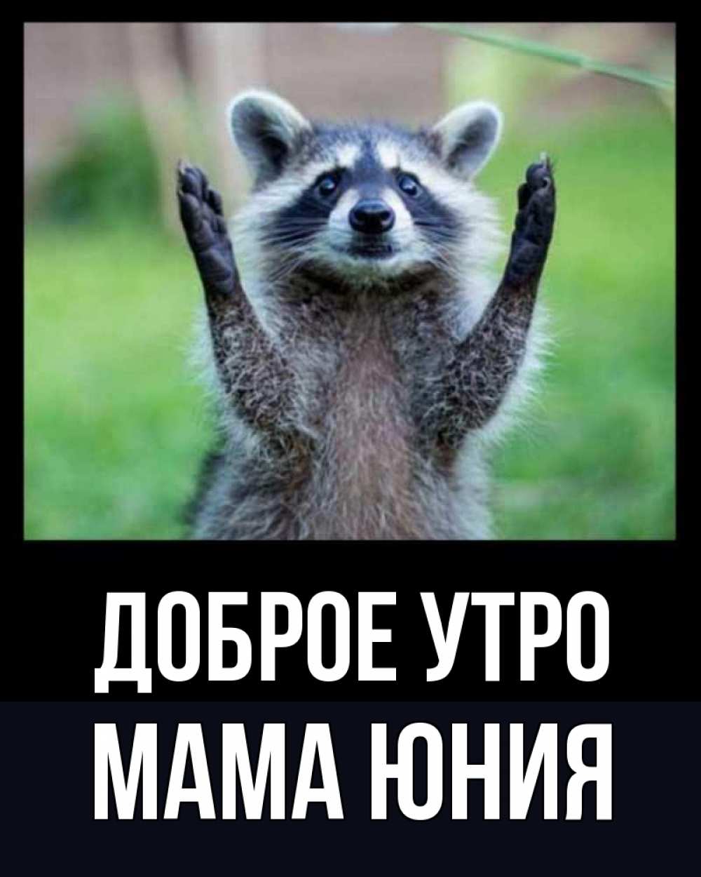 Открытка на каждый день с именем, Мама-Юния Доброе утро хорошее настроение утречком Прикольная открытка с пожеланием онлайн скачать бесплатно 