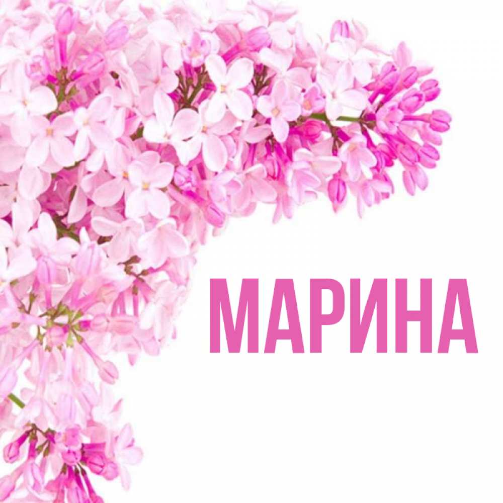 Открытка на каждый день с именем, Марина Главная Сирень на белом фоне Прикольная открытка с пожеланием онлайн скачать бесплатно 