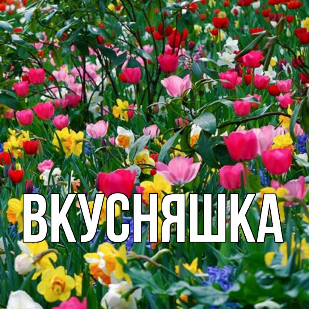 Открытка на каждый день с именем, Вкусняшка Главная с наурызом поздравления для женщины Прикольная открытка с пожеланием онлайн скачать бесплатно 