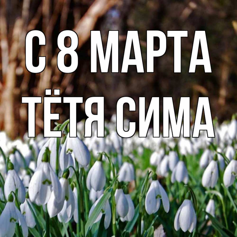 Открытка на каждый день с именем, Тётя-Сима С 8 марта с подснежниками 1 Прикольная открытка с пожеланием онлайн скачать бесплатно 