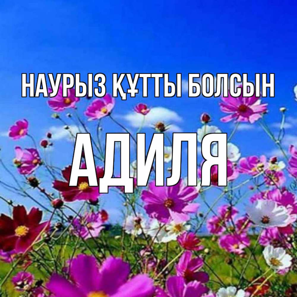 Открытка на каждый день с именем, Адиля Наурыз құтты болсын цветы Прикольная открытка с пожеланием онлайн скачать бесплатно 