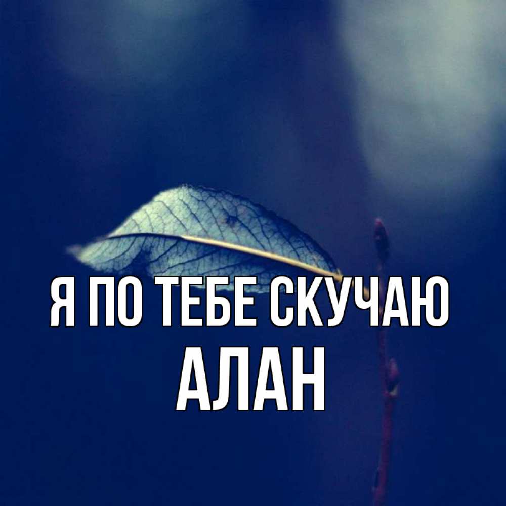 Открытка на каждый день с именем, Алан Я по тебе скучаю одна ветка 1 Прикольная открытка с пожеланием онлайн скачать бесплатно 