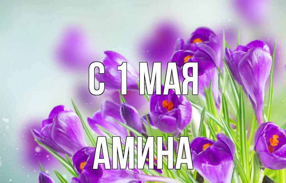 Открытка на каждый день с именем, Амина С 1 мая 1 мая Прикольная открытка с пожеланием онлайн скачать бесплатно 