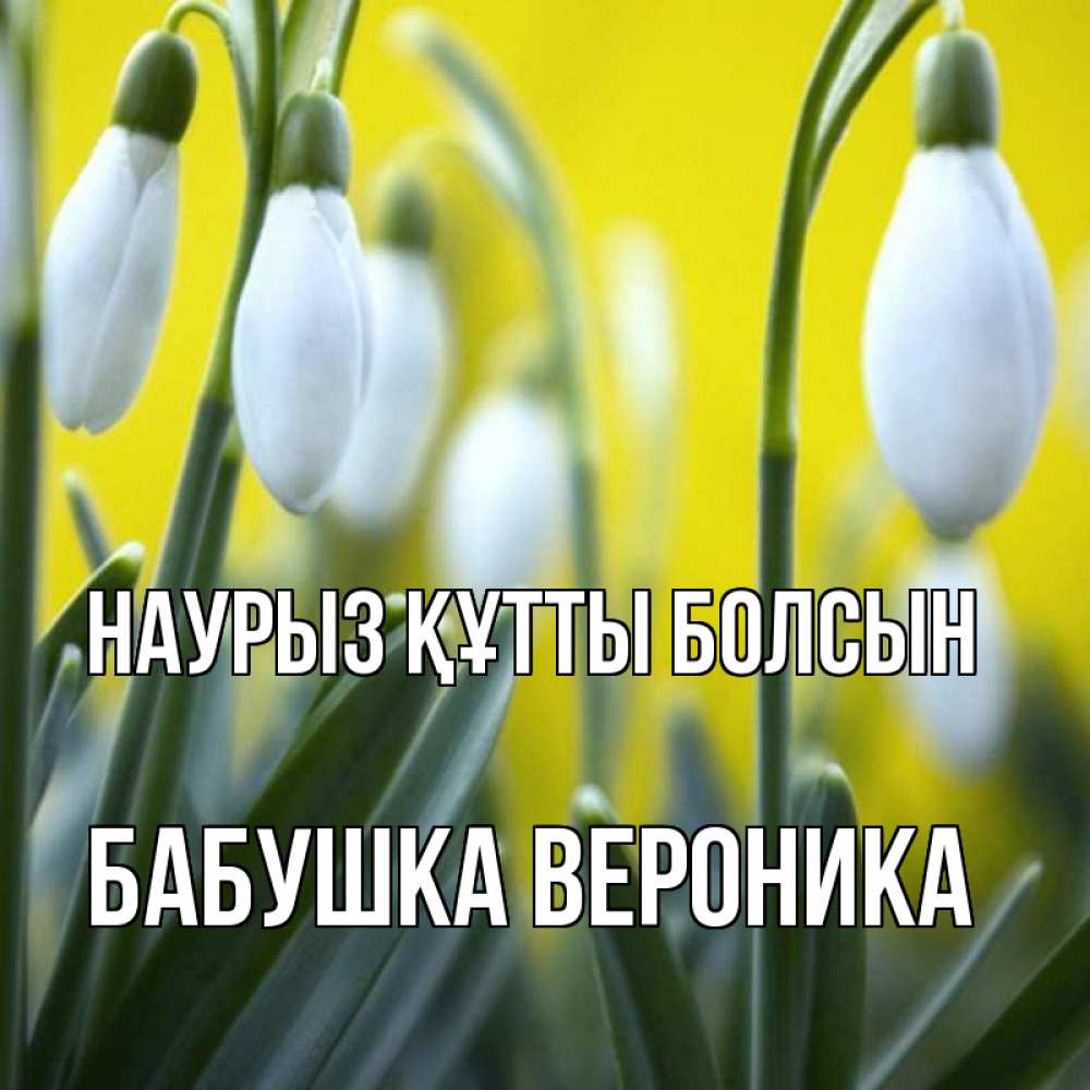Открытка на каждый день с именем, Бабушка-Вероника Наурыз құтты болсын весенние цветы Прикольная открытка с пожеланием онлайн скачать бесплатно 