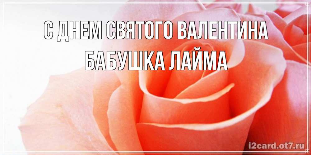 Открытка на каждый день с именем, Бабушка-Лайма С днем Святого Валентина открытка на день Святого Валентина с розовой розой Прикольная открытка с пожеланием онлайн скачать бесплатно 
