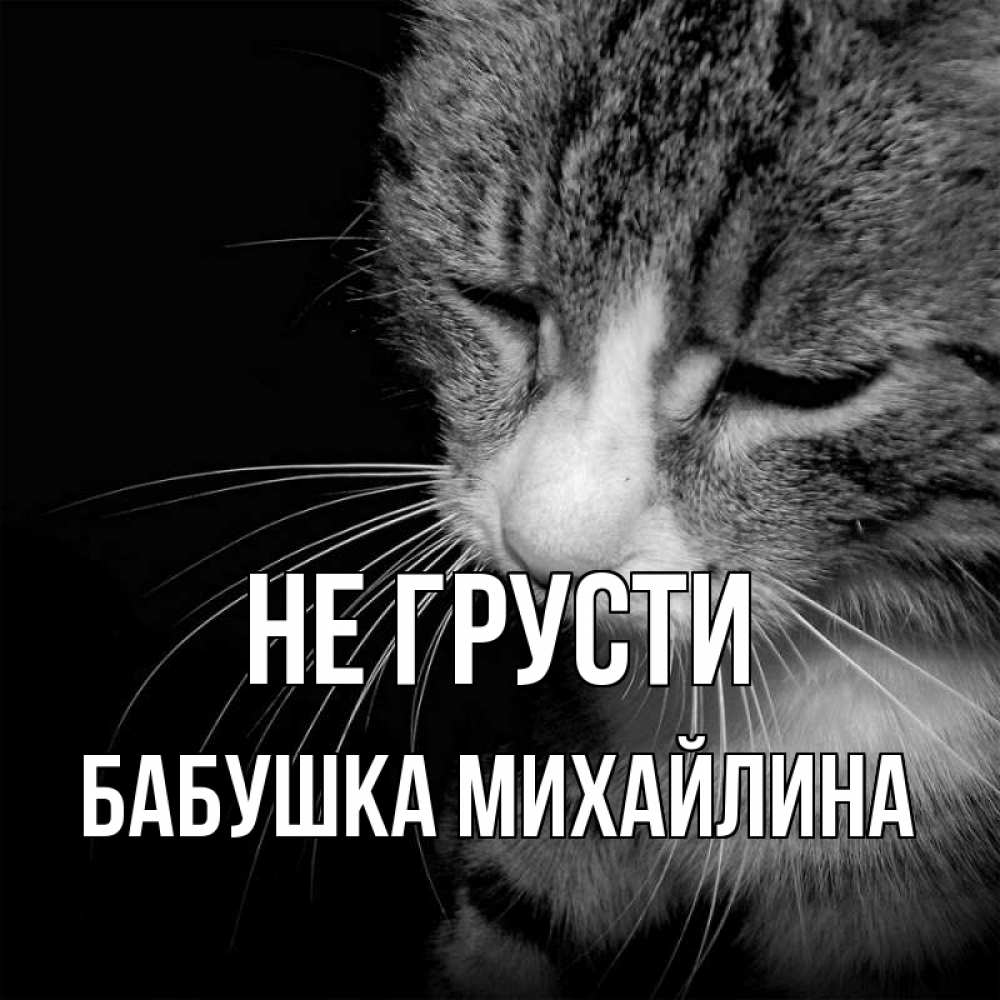 Открытка на каждый день с именем, Бабушка-Михайлина Не грусти грустный котик Прикольная открытка с пожеланием онлайн скачать бесплатно 