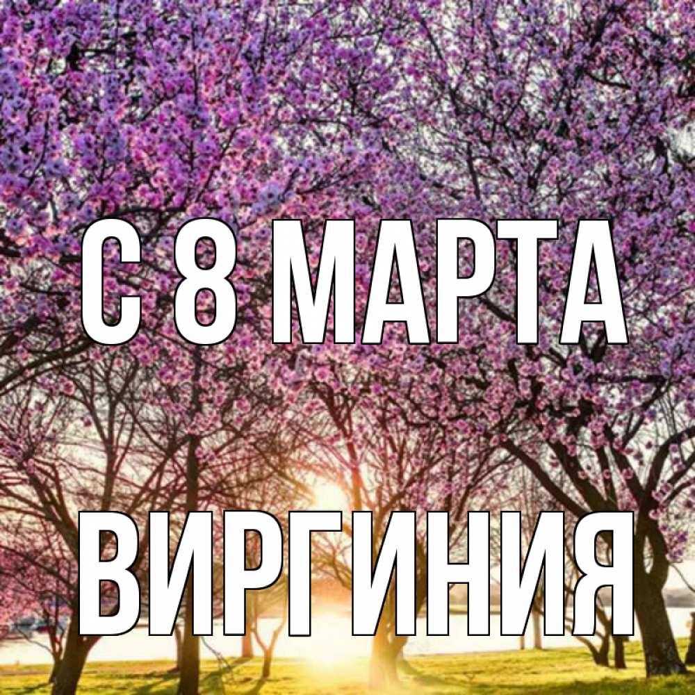 Открытка на каждый день с именем, Виргиния С 8 МАРТА международный женский день Прикольная открытка с пожеланием онлайн скачать бесплатно 