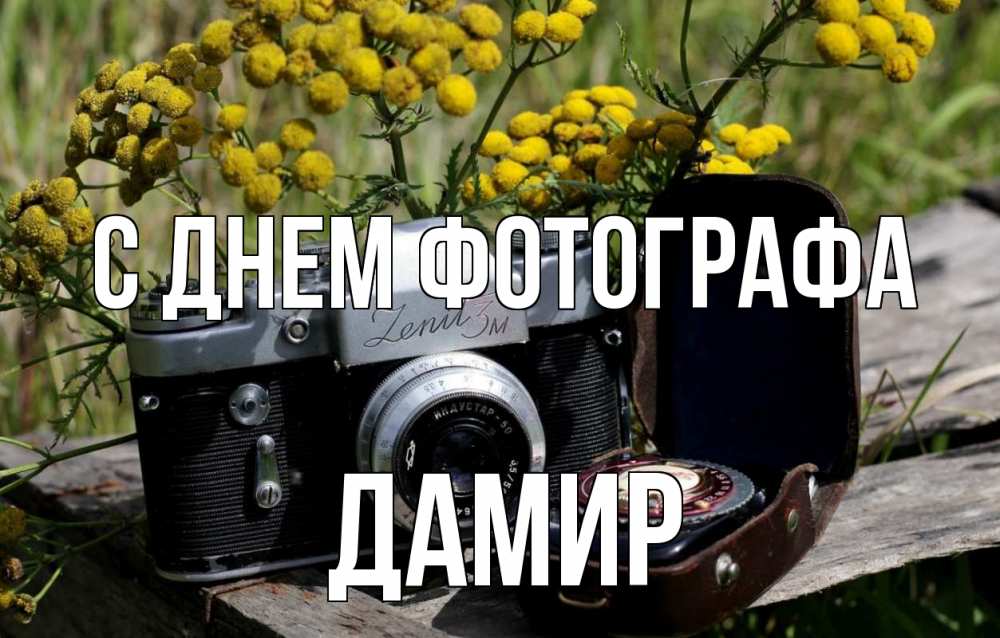Открытка на каждый день с именем, Дамир С днем фотографа с днем фотографа Прикольная открытка с пожеланием онлайн скачать бесплатно 
