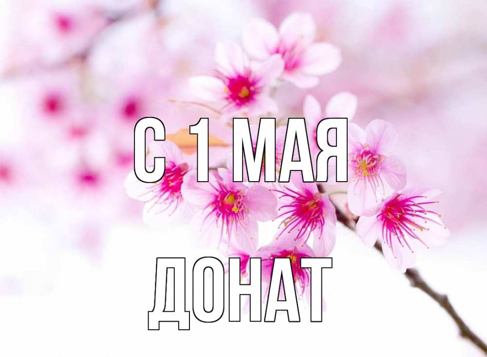 Открытка на каждый день с именем, Донат С 1 мая С 1 мая 2 Прикольная открытка с пожеланием онлайн скачать бесплатно 