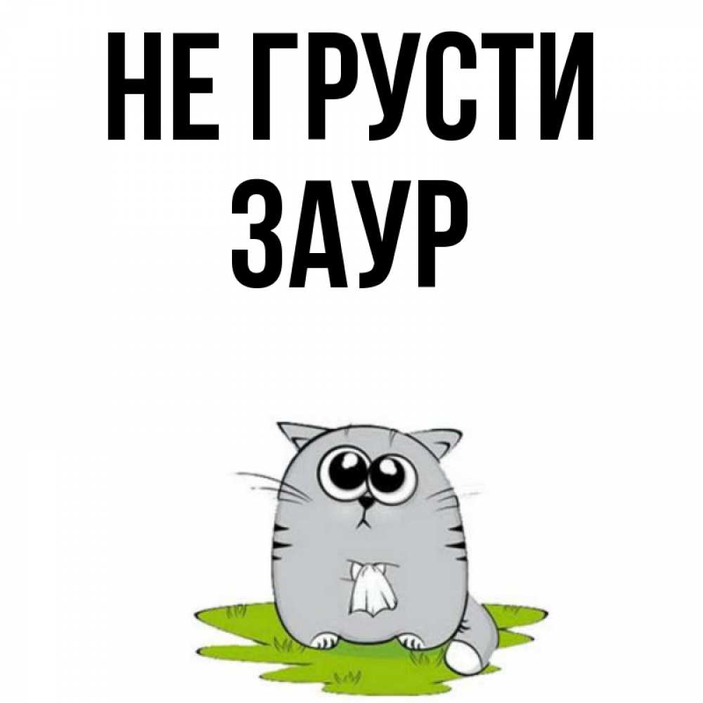Открытка на каждый день с именем, Заур Не грусти грустный котяра Прикольная открытка с пожеланием онлайн скачать бесплатно 