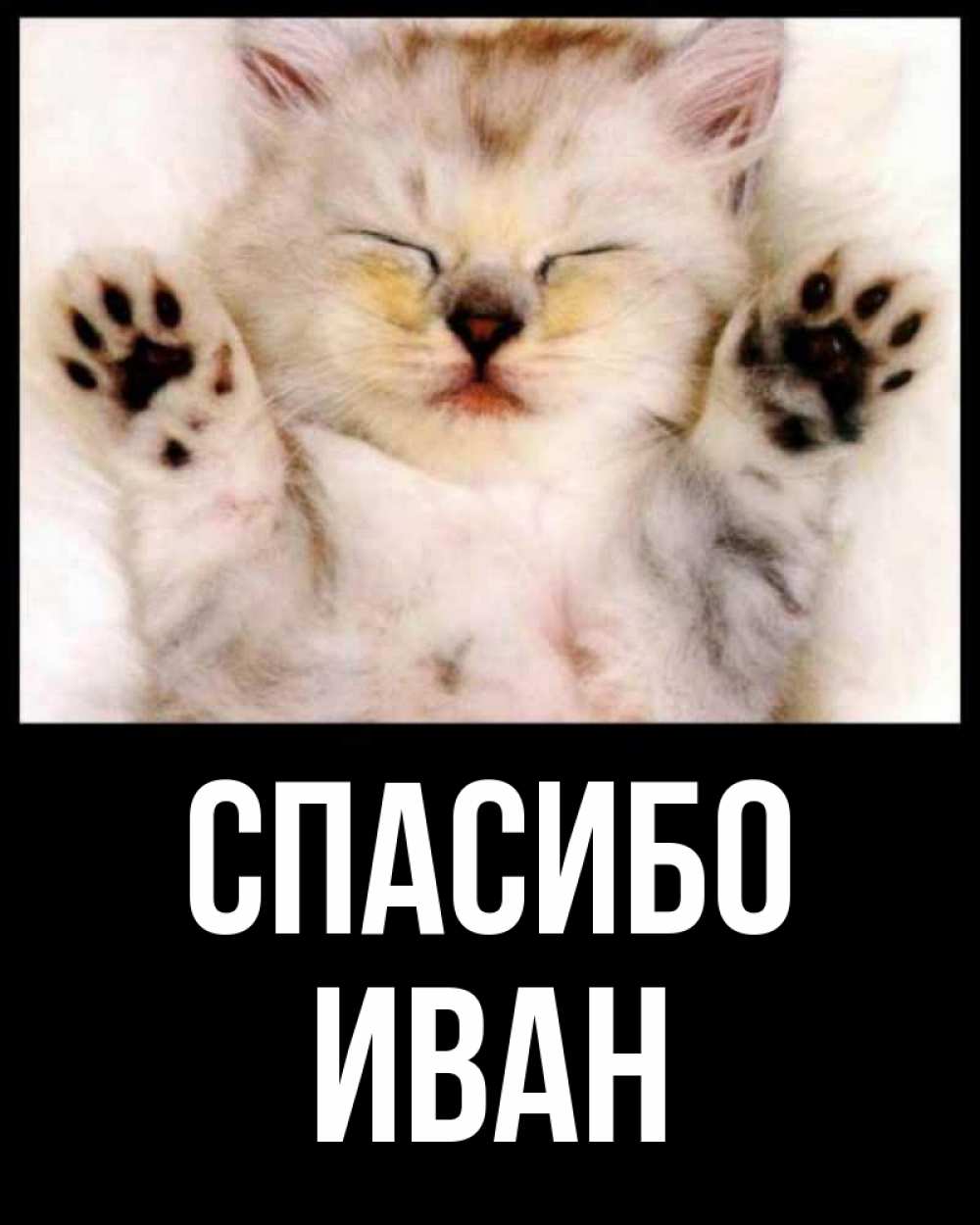 Открытка на каждый день с именем, Иван Спасибо маленький котенок Прикольная открытка с пожеланием онлайн скачать бесплатно 