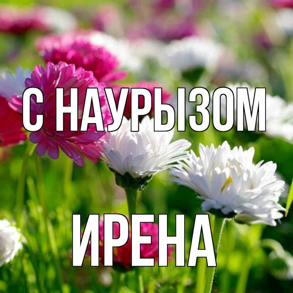Открытка на каждый день с именем, Ирена С наурызом праздник весны наурыз красота Прикольная открытка с пожеланием онлайн скачать бесплатно 
