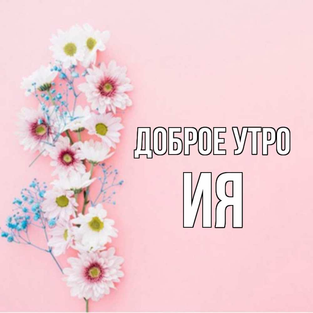 Открытка на каждый день с именем, Ия Доброе утро цветы с подписью Прикольная открытка с пожеланием онлайн скачать бесплатно 