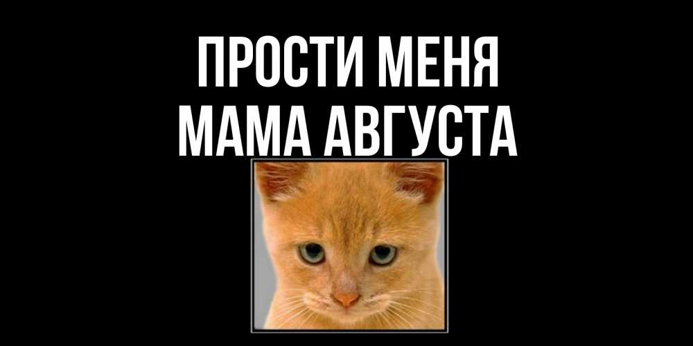 Открытка на каждый день с именем, Мама-Августа Прости меня рыжий грустный кот просит прощения Прикольная открытка с пожеланием онлайн скачать бесплатно 