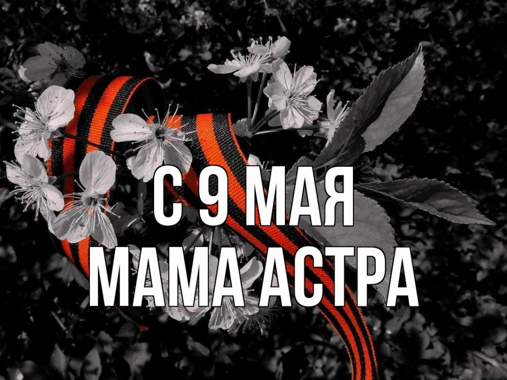 Открытка на каждый день с именем, Мама-Астра С 9 мая 9 мая Прикольная открытка с пожеланием онлайн скачать бесплатно 