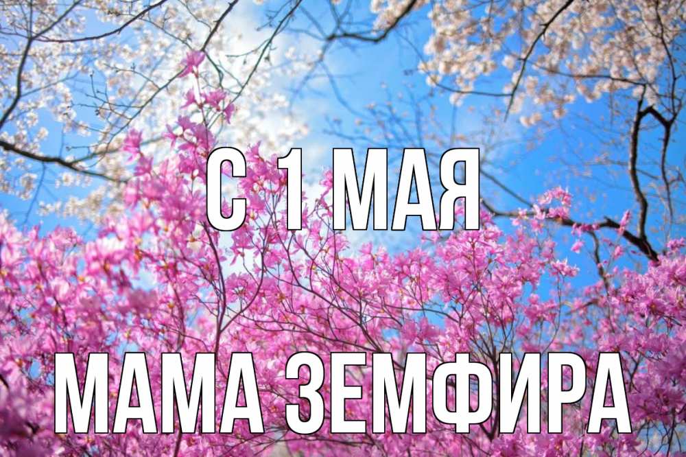 Открытка на каждый день с именем, Мама-Земфира С 1 мая С 1 мая Прикольная открытка с пожеланием онлайн скачать бесплатно 
