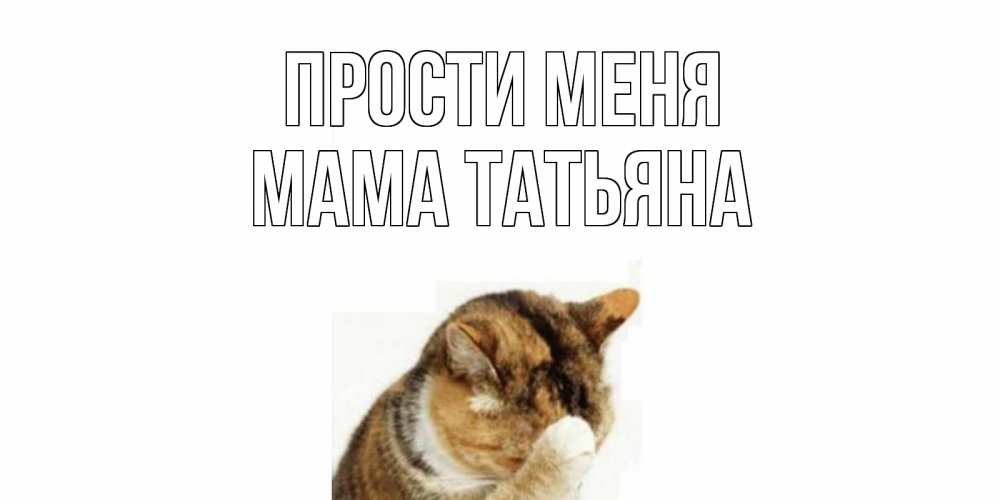 Открытка на каждый день с именем, Мама-Татьяна Прости меня кот Прикольная открытка с пожеланием онлайн скачать бесплатно 