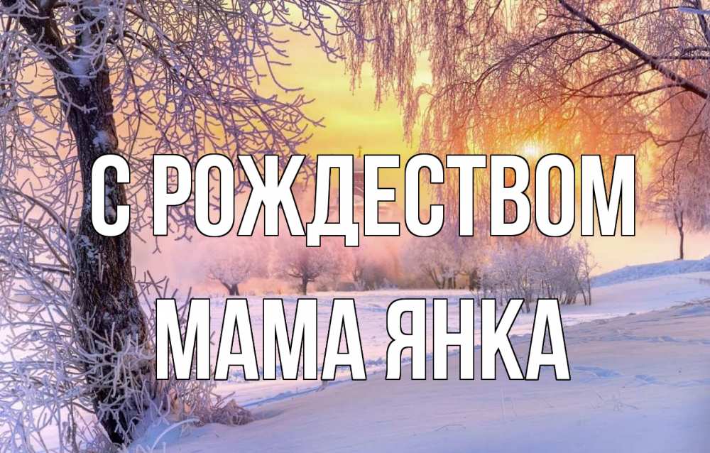 Открытка на каждый день с именем, Мама-Янка С рождеством рождество, лес, зима 1 Прикольная открытка с пожеланием онлайн скачать бесплатно 
