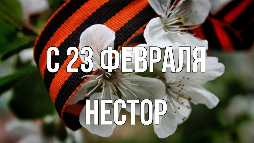 Открытка на каждый день с именем, Нестор С 23 февраля 23 февраля Прикольная открытка с пожеланием онлайн скачать бесплатно 