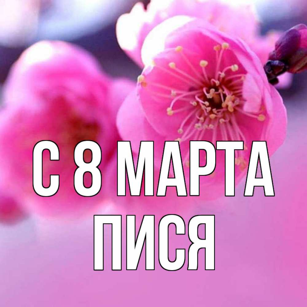 Открытка на каждый день с именем, Пися С 8 марта международный женский день Прикольная открытка с пожеланием онлайн скачать бесплатно 