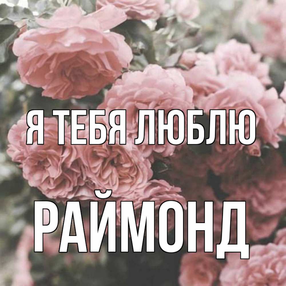 Открытка на каждый день с именем, Раймонд Я тебя люблю розы 3 Прикольная открытка с пожеланием онлайн скачать бесплатно 