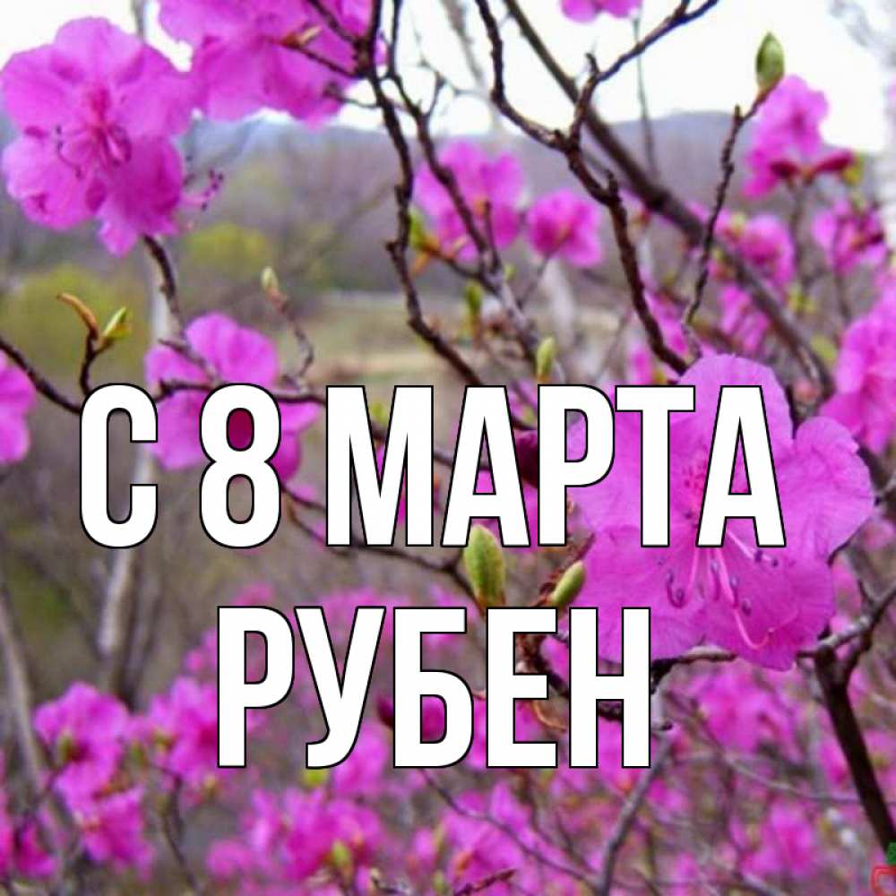 Открытка на каждый день с именем, Рубен С 8 МАРТА международный женский день Прикольная открытка с пожеланием онлайн скачать бесплатно 