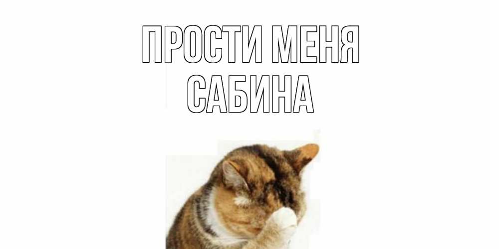 Открытка на каждый день с именем, Сабина Прости меня кот Прикольная открытка с пожеланием онлайн скачать бесплатно 