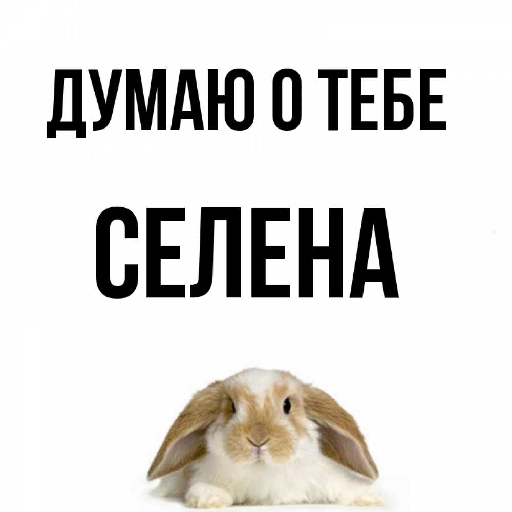 Открытка на каждый день с именем, Селена Думаю о тебе подписать своими руками онлайн Прикольная открытка с пожеланием онлайн скачать бесплатно 