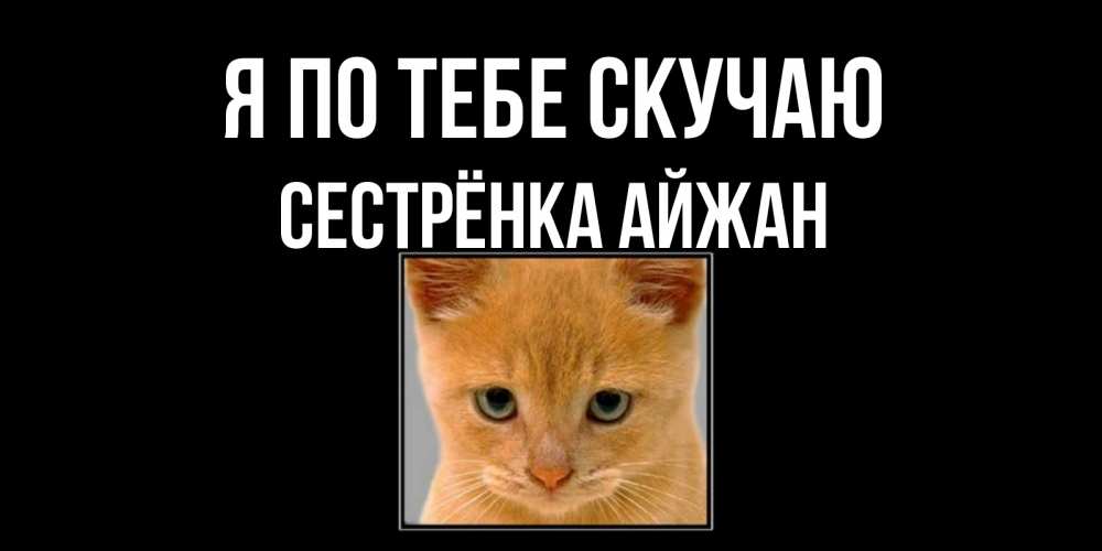 Открытка на каждый день с именем, Сестрёнка-Айжан Я по тебе скучаю открытки рыжий котенок скучает по тебе Прикольная открытка с пожеланием онлайн скачать бесплатно 