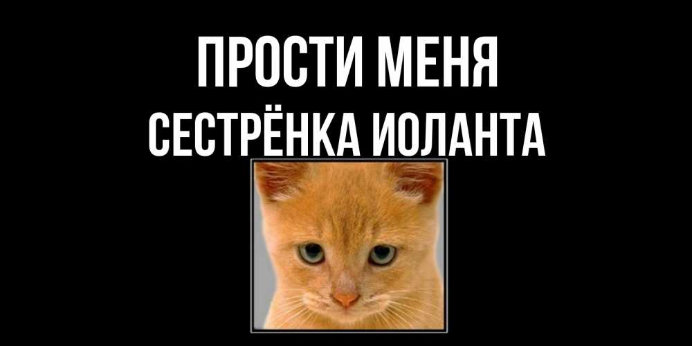 Открытка на каждый день с именем, Сестрёнка-Иоланта Прости меня рыжий грустный кот просит прощения Прикольная открытка с пожеланием онлайн скачать бесплатно 