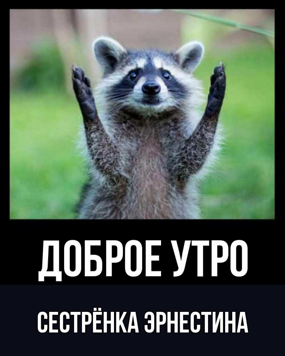 Открытка на каждый день с именем, Сестрёнка-Эрнестина Доброе утро хорошее настроение утречком Прикольная открытка с пожеланием онлайн скачать бесплатно 