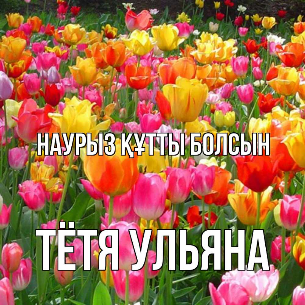 Открытка на каждый день с именем, Тётя-Ульяна Наурыз құтты болсын на наурыз  ура ура Прикольная открытка с пожеланием онлайн скачать бесплатно 